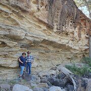 House Sitter - Gail and Greg