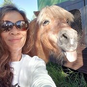 House Sitter - House proud, pet lover, avid gardener