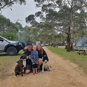 House Sitter - Taking Roads Less Travelled