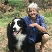 House Sitter - Clean & Cuddly