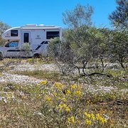 House Sitter - Living my dream - enabling your dreams