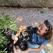 House Sitter - Caring and Experienced House Sitter