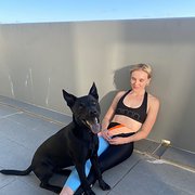 House Sitter - Responsible animal lover