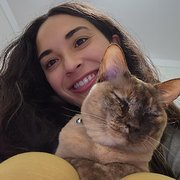 House Sitter - A responsible house & pet sitter