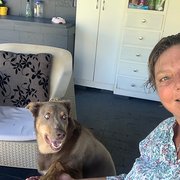 House Sitter - Available Now to 4 December 2025