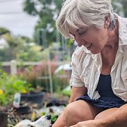 House Sitter - Jan A