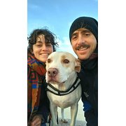 House Sitter - Valentin & Noemi