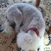 House Sitter - Julie and Graham on the road