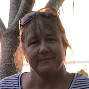 House Sitter - Single reliable mature sitter