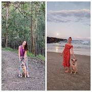 House Sitter - Claire