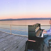 House Sitter - Peter