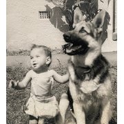 House Sitter - A Caring, Trustworthy House & Pet Minder