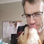 House Sitter - Experienced Housesitter Available