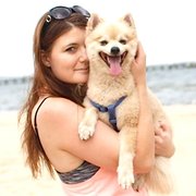 House Sitter - Professional experienced animal carer 