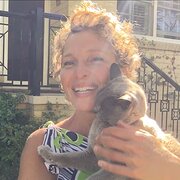 House Sitter - Responsible and caring Melb female.