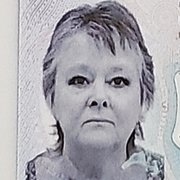 House Sitter - Cat Lover