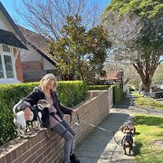 House Sitter - Experienced caring pet and housesitter