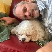 House Sitter - Travelling house/pet sitter 