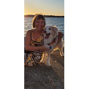 House Sitter - Reliable, Clean, Pet lover + Non smoker