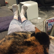 House Sitter - Local Sydney Pet Lover