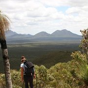 House Sitter - Tania