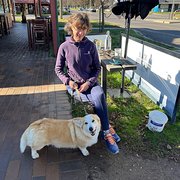 House Sitter - Shelley