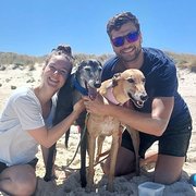 House Sitter - Purrfect carers