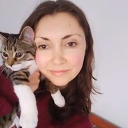 House Sitter - Long-time Sitter, Looking for an Oct sit