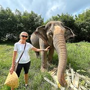 House Sitter - Michele - experienced house sitter