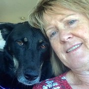 House Sitter - Trustworthy & Reliable NSW/VIC