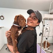 House Sitter - Experienced doggy daycare attendant 