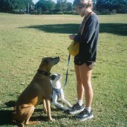 House Sitter - Adelhaide (Heidi), Solo 