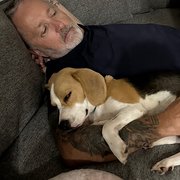 House Sitter - #1 housesitters