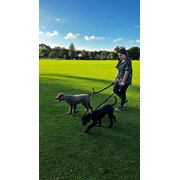 House Sitter - Daiana