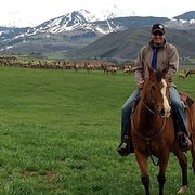 House Sitter - Computer Nerd Back Home