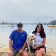 House Sitter - Responsible newly retired animal lovers