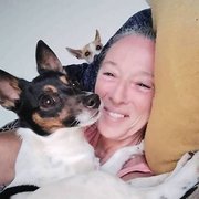 House Sitter - Chilled yogi, wise elder 