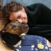 House Sitter - Megan & Ben - the perfect sitters!