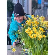 House Sitter - Rosemary