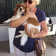 House Sitter - Homebody 