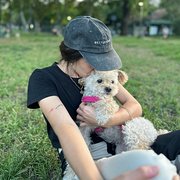 House Sitter - Emilia