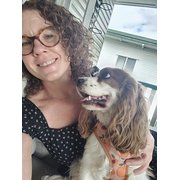 House Sitter - Mature, experienced, responsible
