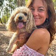 House Sitter - Reliable and flexible house sitter