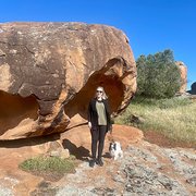 House Sitter - Sharm