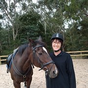 House Sitter - Reliable Housesitter Liss