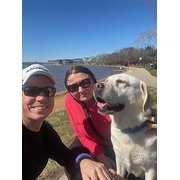 House Sitter - Mature professional couple