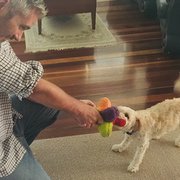 House Sitter - Housesit Whisperer