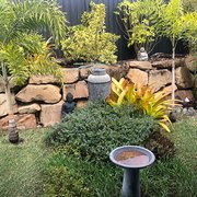 House Sitter - Experienced House Sitters