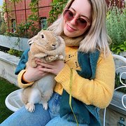 House Sitter - Long-Short term house / pet sitter