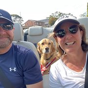 House Sitter - Responsible pet loving empty nesters 